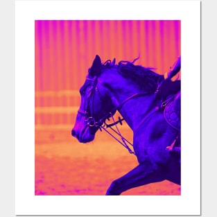 The Power Of The Horse Posters and Art